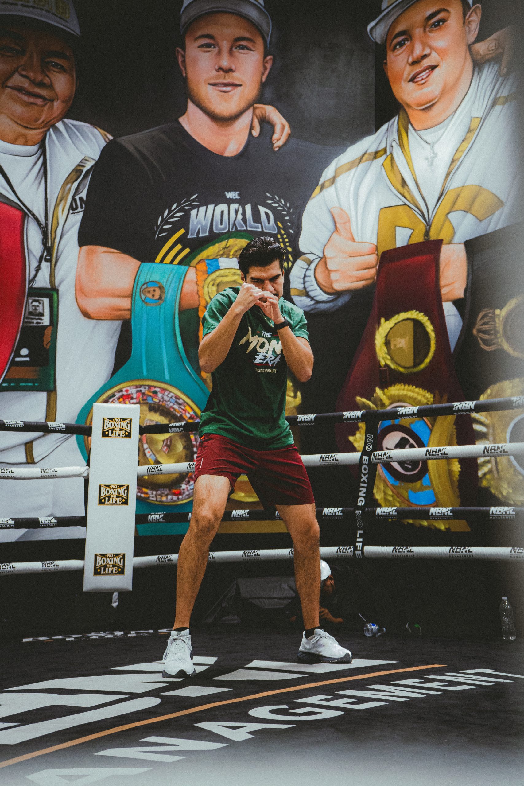 Jesus Ramos Jr interim WBC middleweight champion